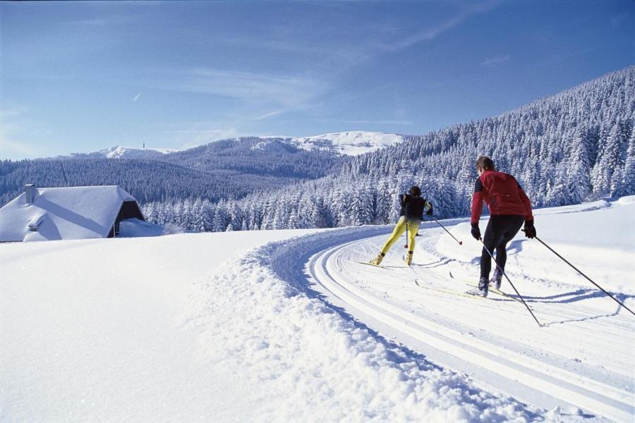 Schwarzwald-Traum Mit Pool Und Sauna Unterkirnach Exteriér fotografie