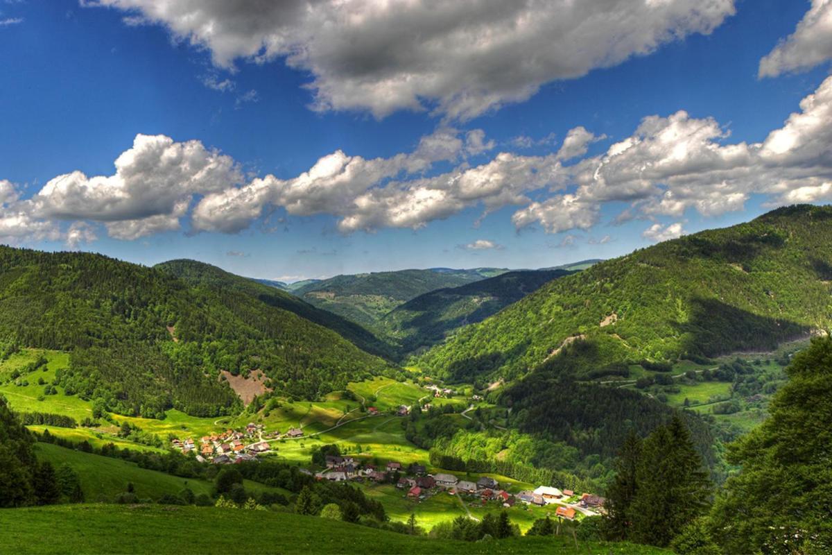Schwarzwald-Traum Mit Pool Und Sauna Unterkirnach Exteriér fotografie